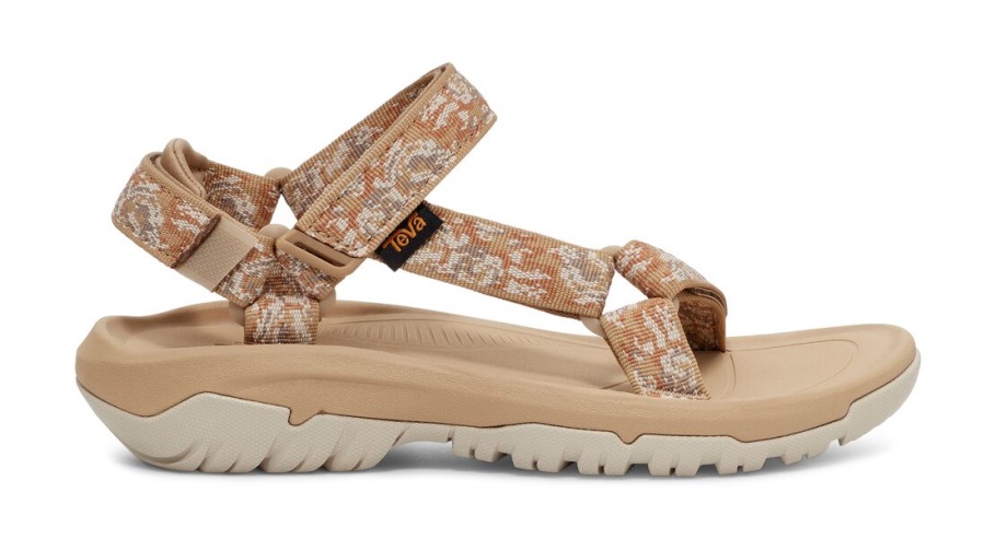 Morska Zvezda Pampas