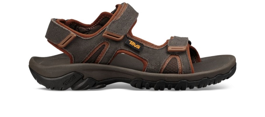 Sesekljajte 2 črni Olivi