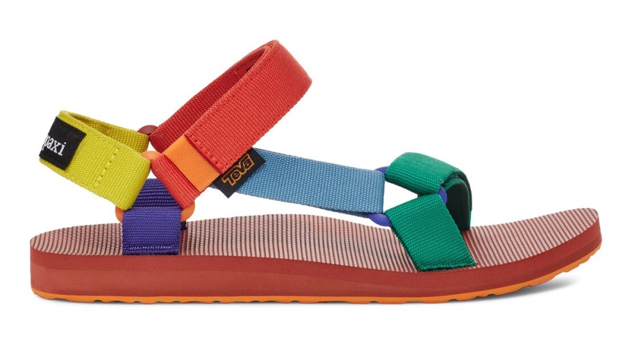 Kanjon Teva Pristane Na Izvirnem Univerzalnem Cotopaxiju